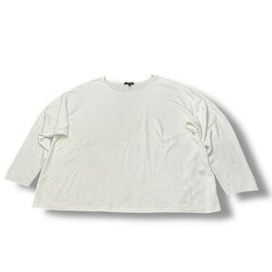 Eileen Fisher Knit Off White Long Sleeve Crewneck Plus Size Casual Women’s 2X